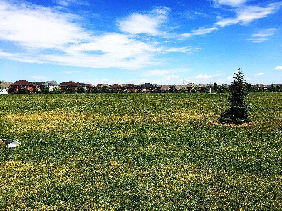 Scott Neighbourhood Park West