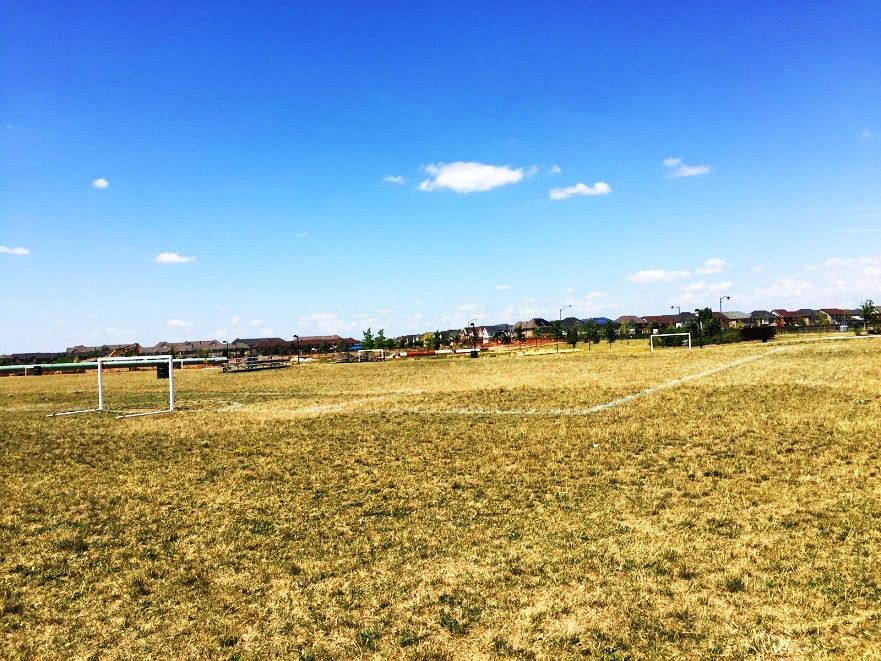 Coates Neighbourhood Park South