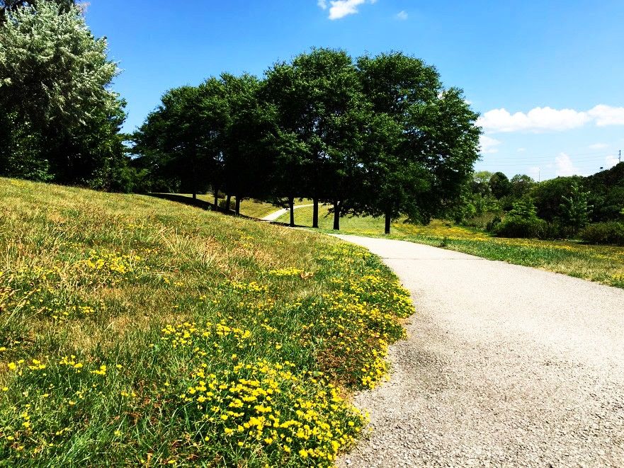 Moorelands Park