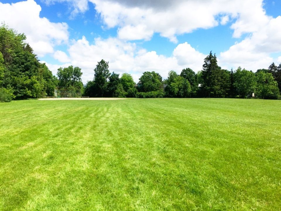 Kingsleigh Park