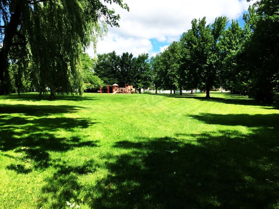 Kingsleigh Park