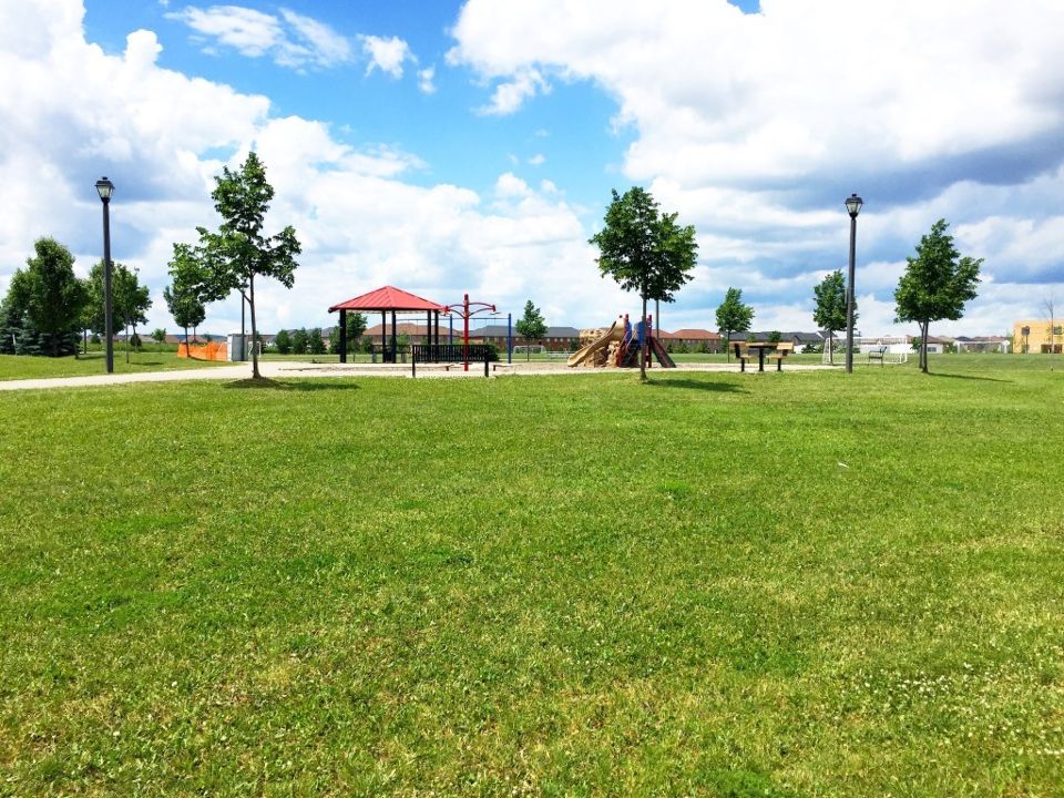 Clarke Neighbourhood Park North