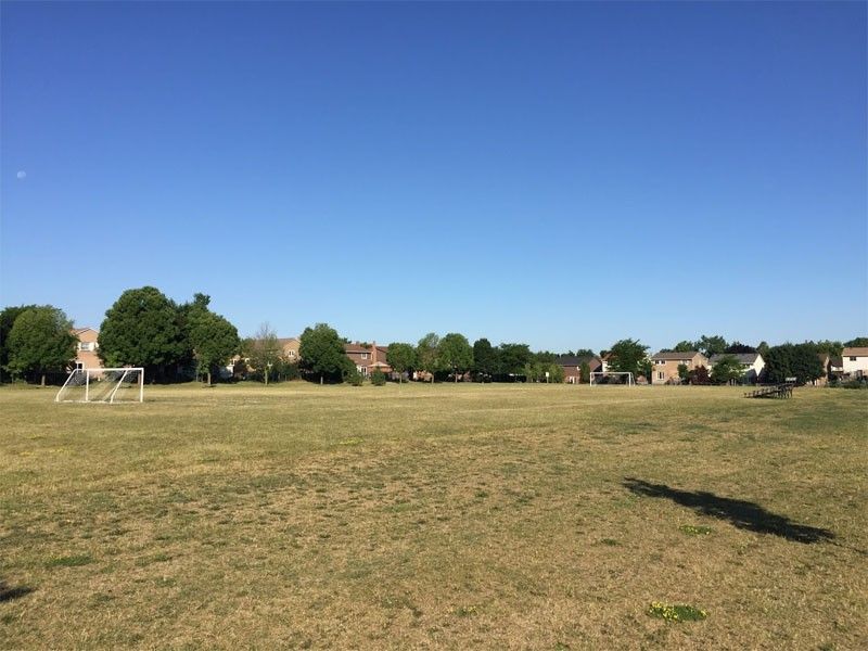 Bronte Meadows Park