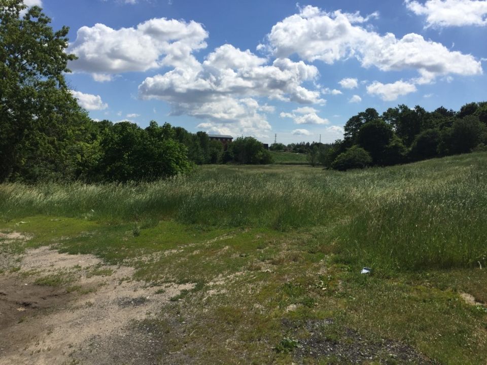 16 Mile Creek Park - South