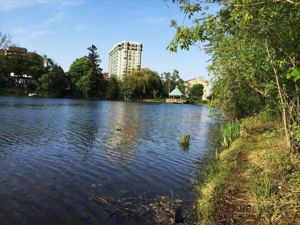 Centennial Park
