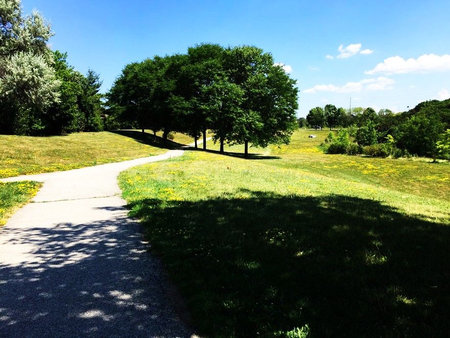 Moorelands Park