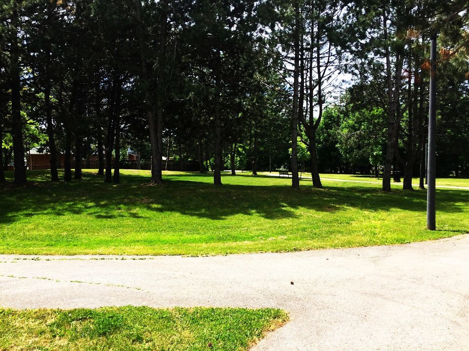 Beaver Court Park
