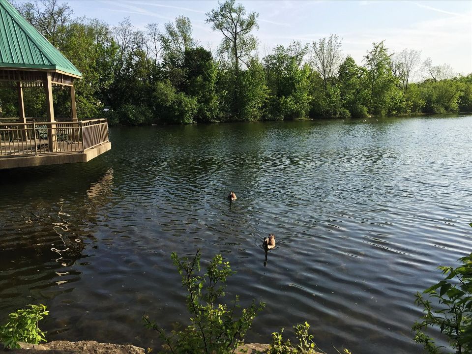 Centennial Park