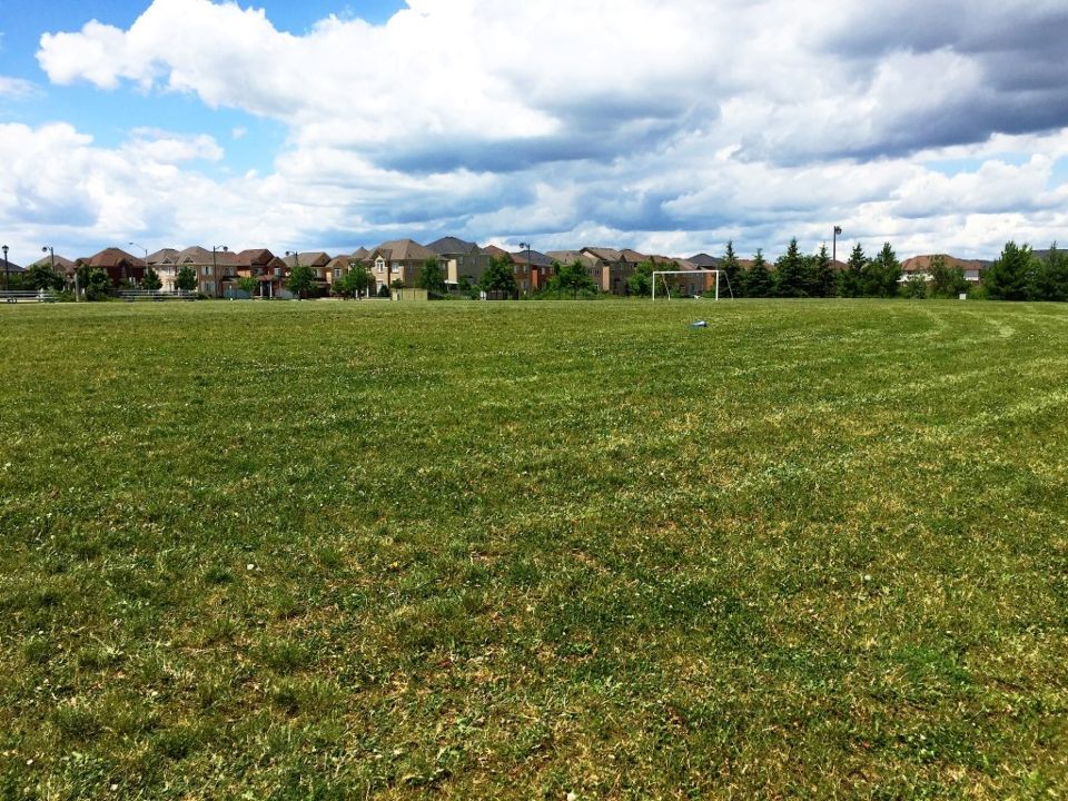 Clarke Neighbourhood Park South
