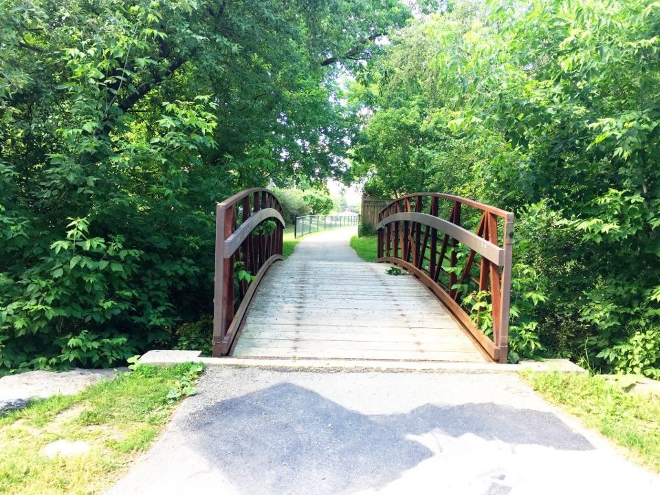 David Thompson Park