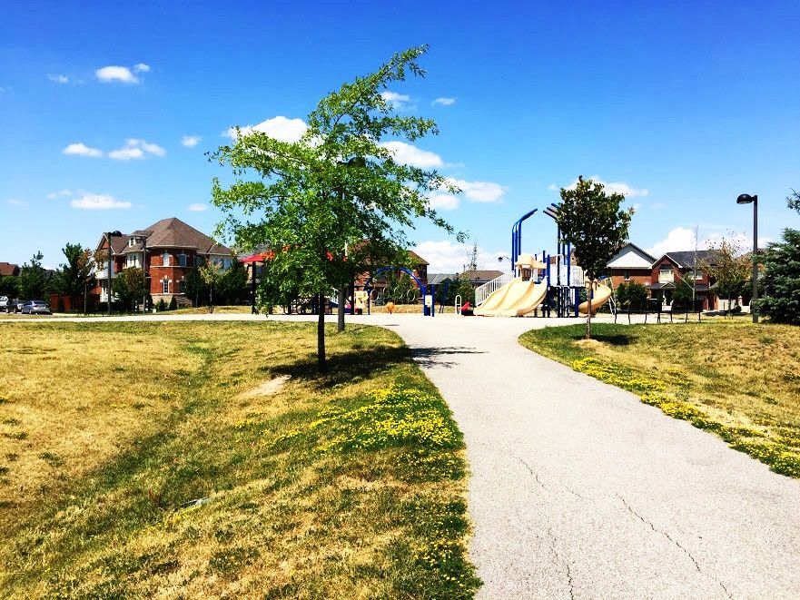 Mccready Park