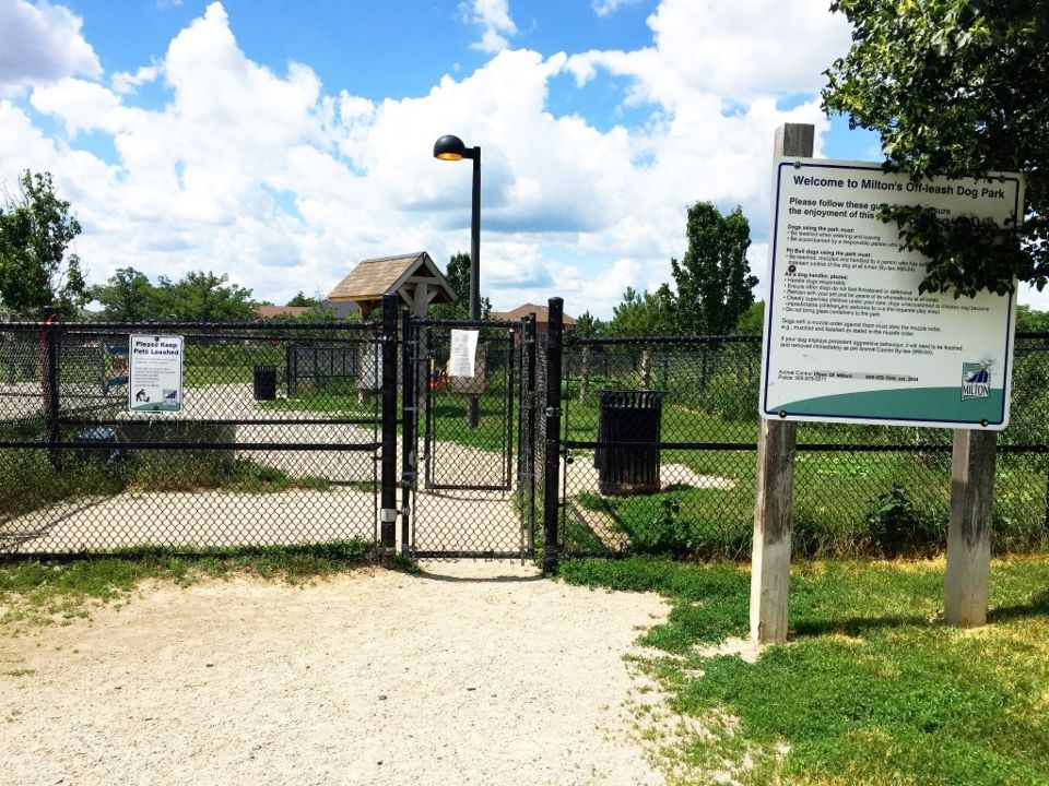 Cedar Hedge Park - West (off Leash Dog Park)