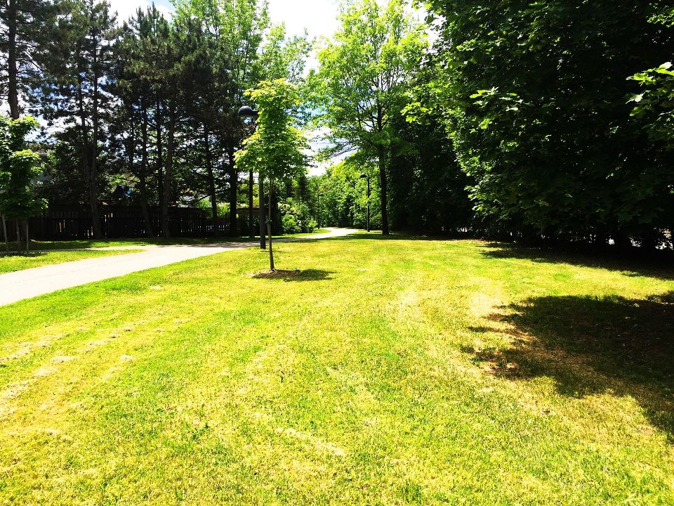 Beaver Court Park