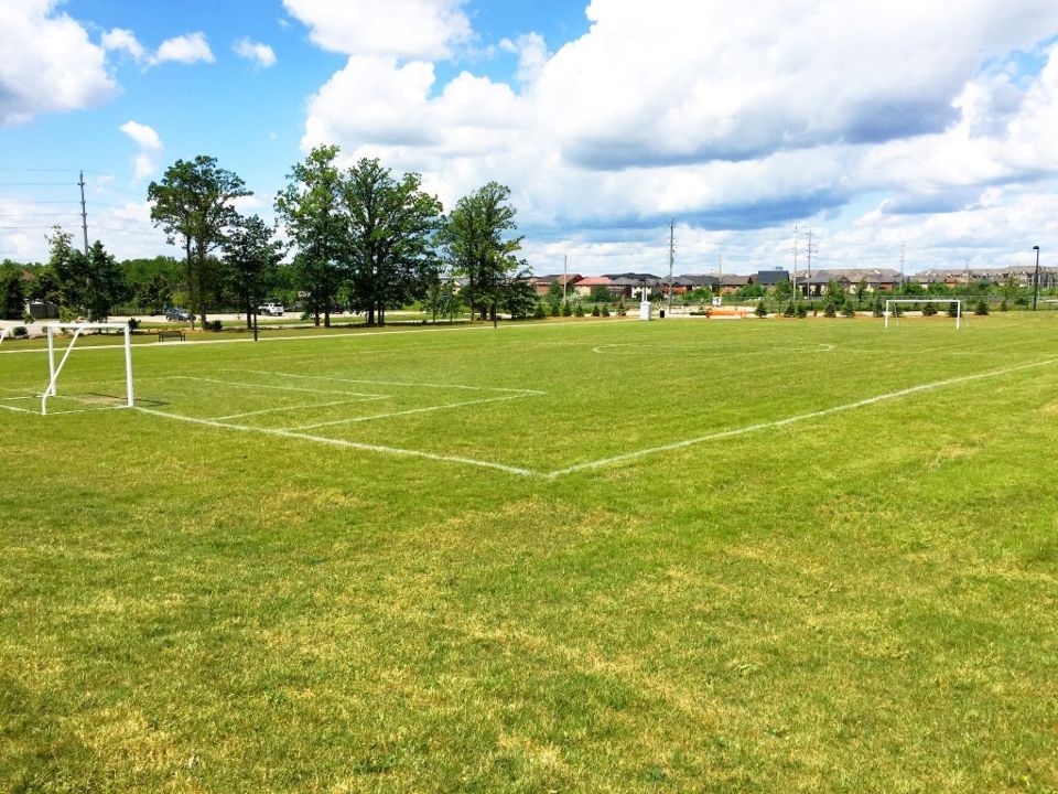 Cedar Hedge Park