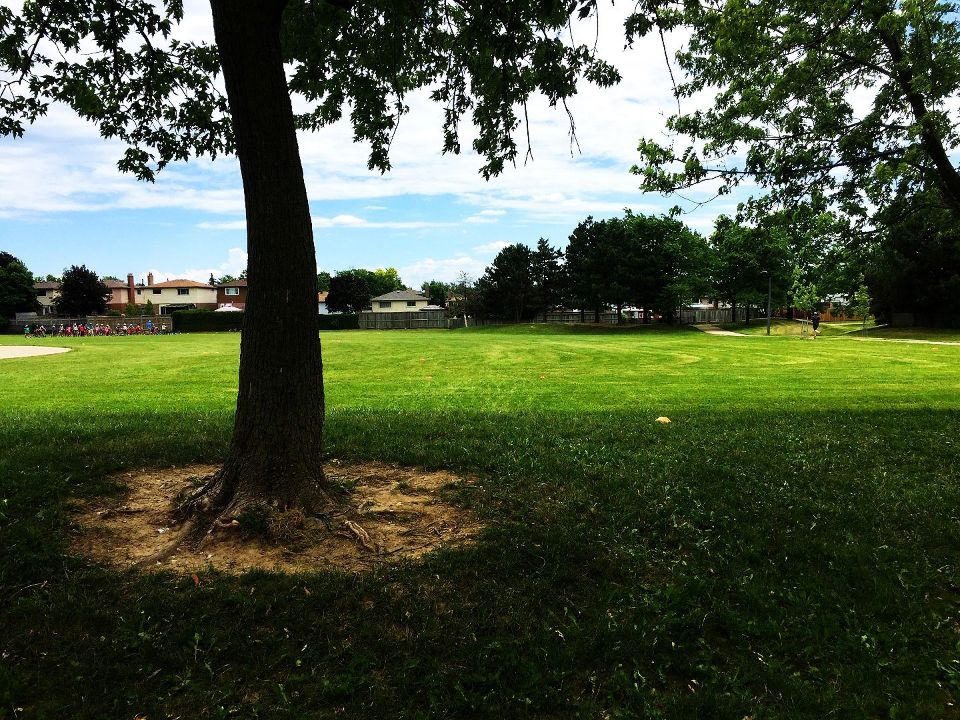 Coxe Boulevard Park