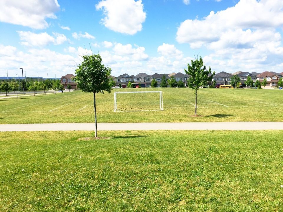 Bristol District Park