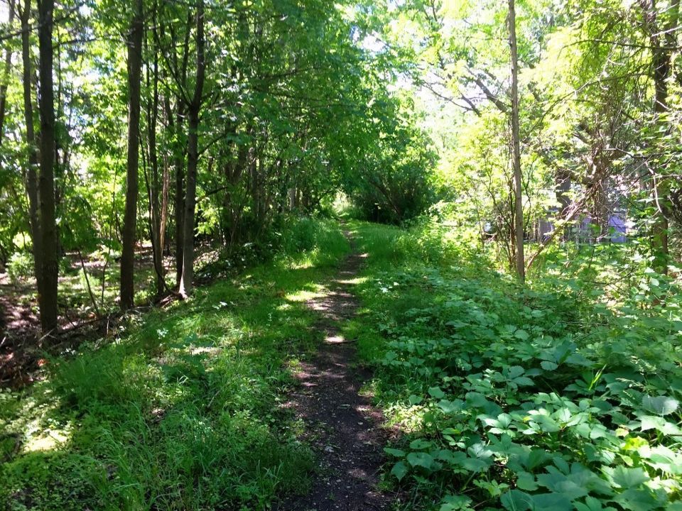 Kingsleigh Park