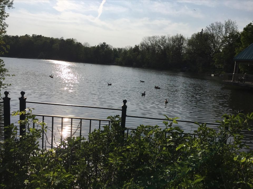Centennial Park