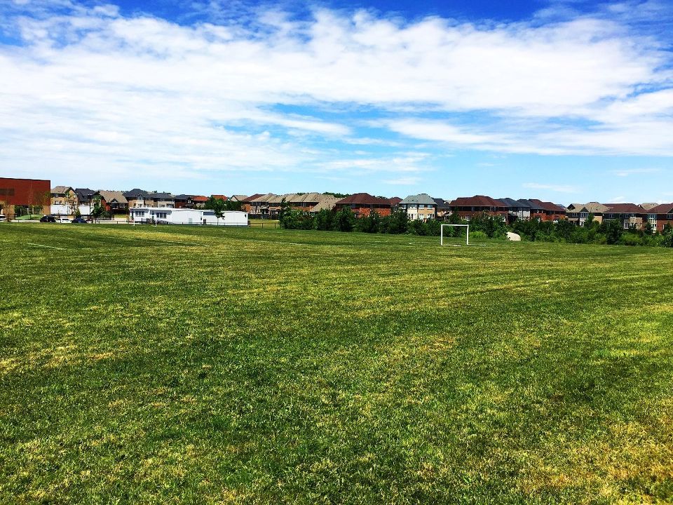 Scott Neighbourhood Park West