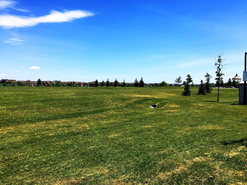 Scott Neighbourhood Park West