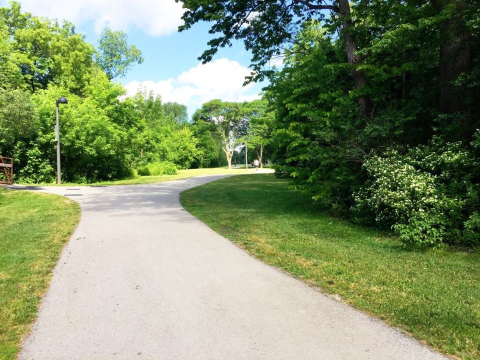 David Thompson Park