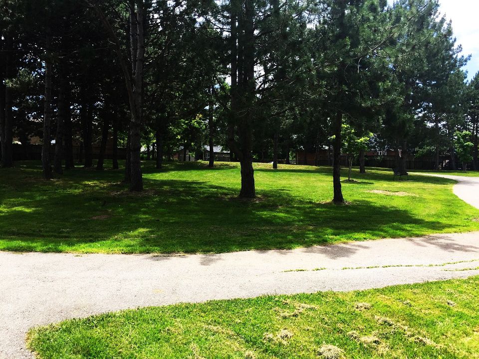 Beaver Court Park
