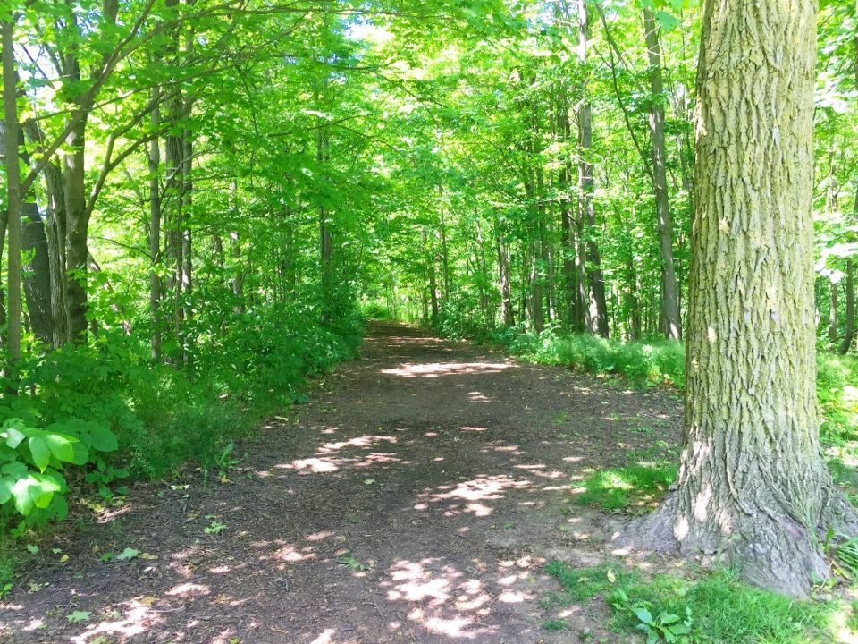 Livingston Park and Trail