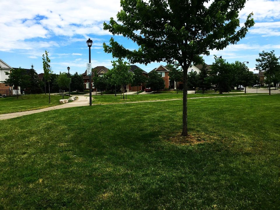 Hutchinson Park