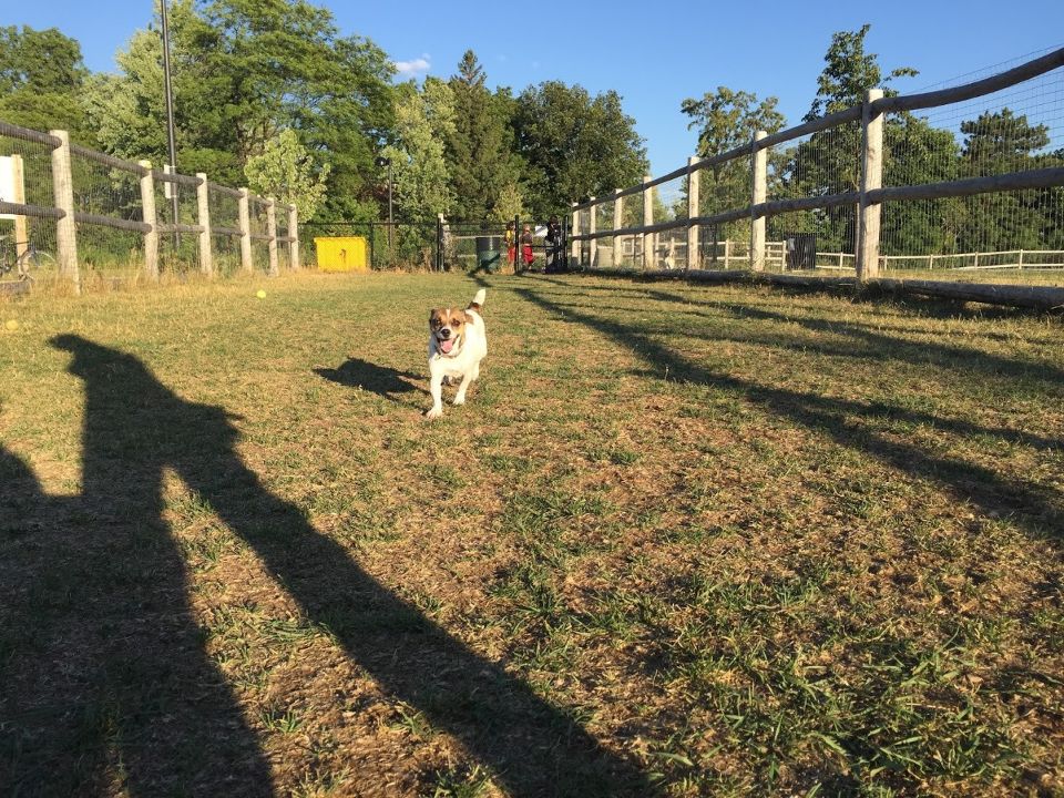 Sunny Mount Park