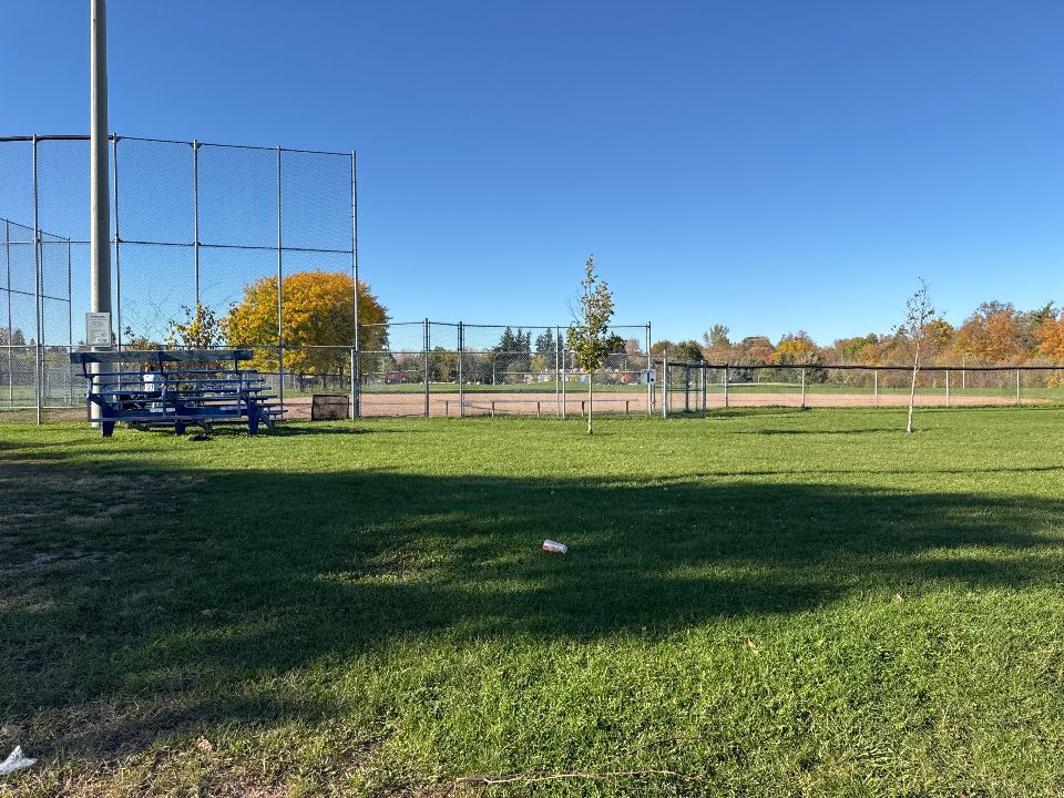 Diamond 1 at Brian Best Park
