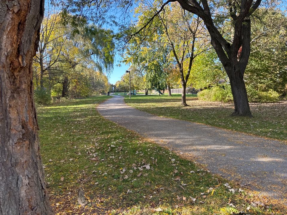 David Thompson Park
