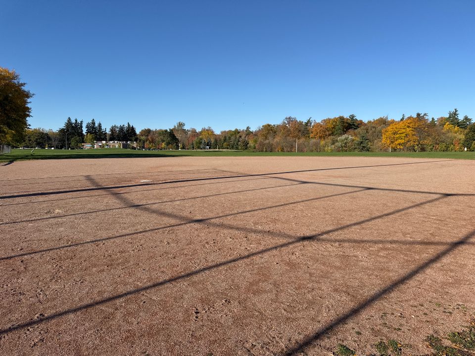 Diamond 1 at Brian Best Park