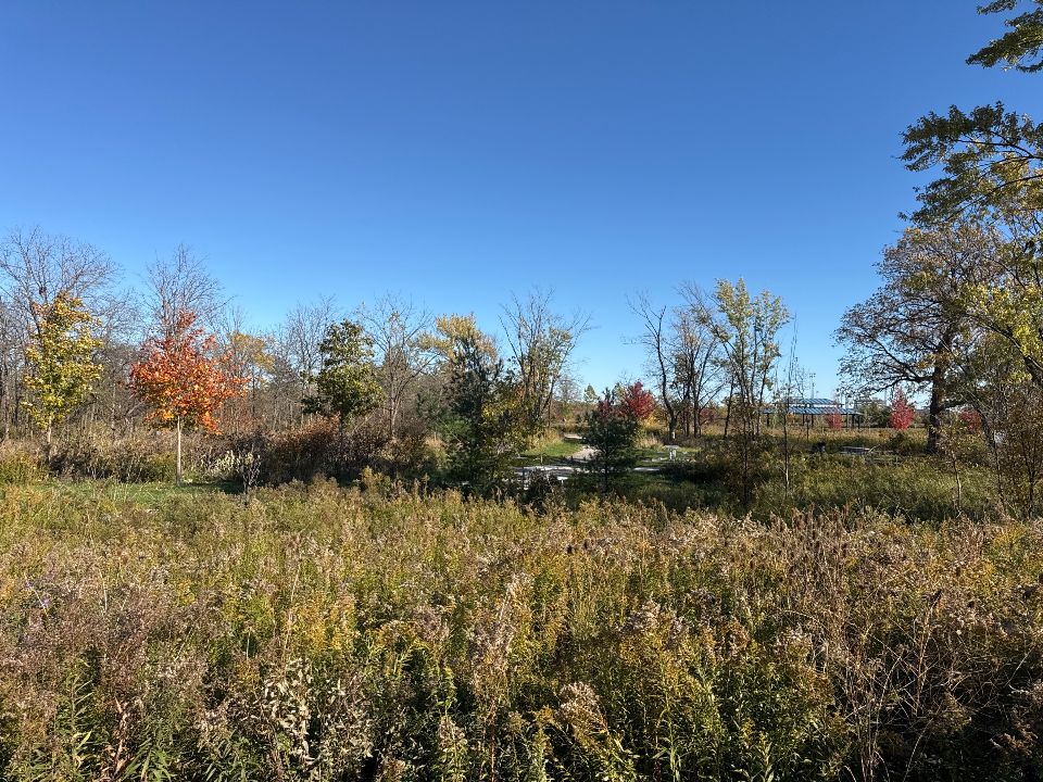 Milton Community Park