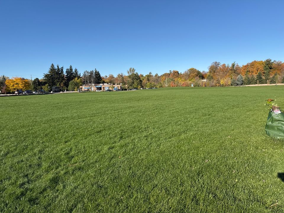 Field #1 Intermediate at Brian Best Park