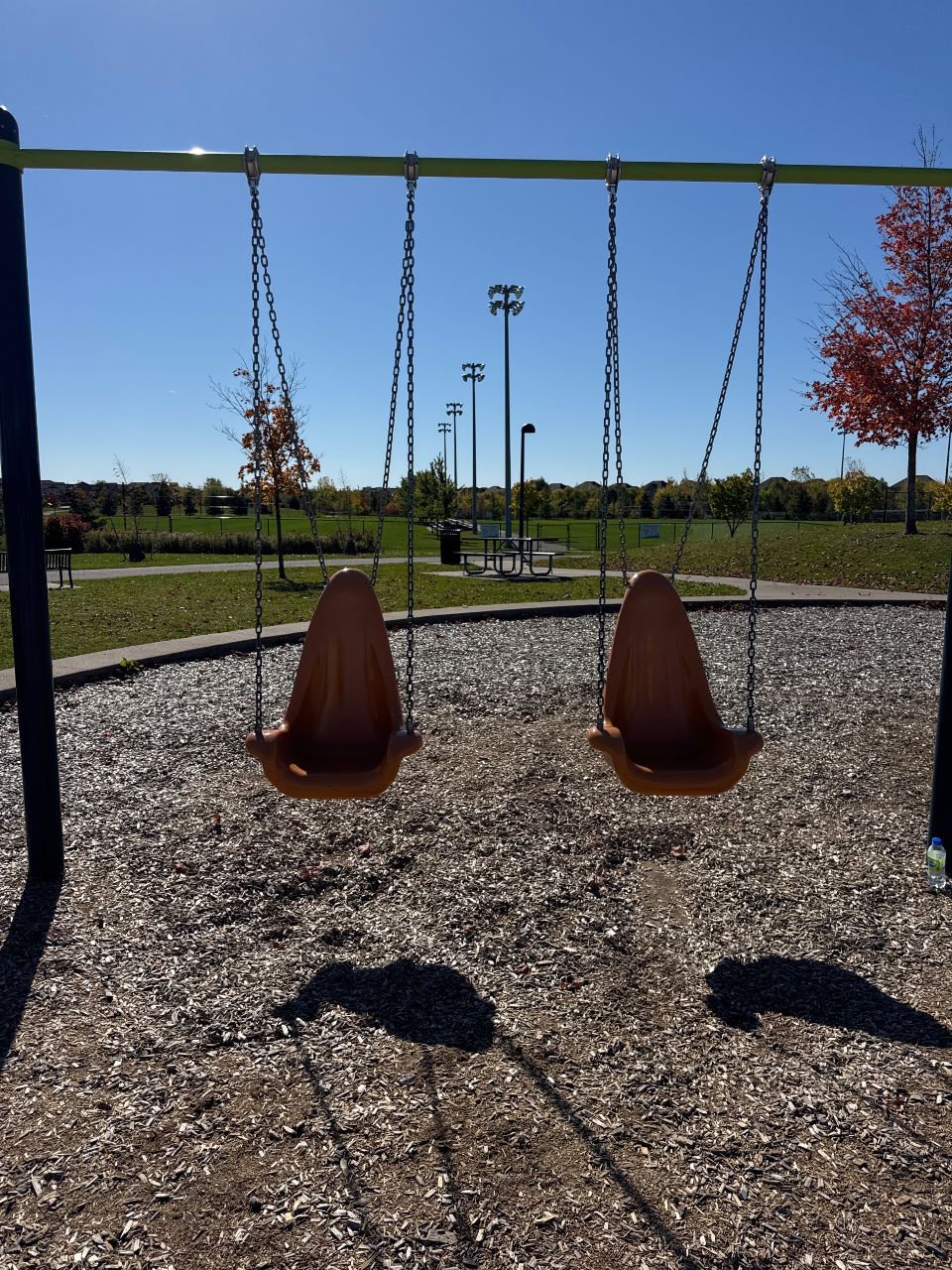 Accessible Swing at Milton Community Park