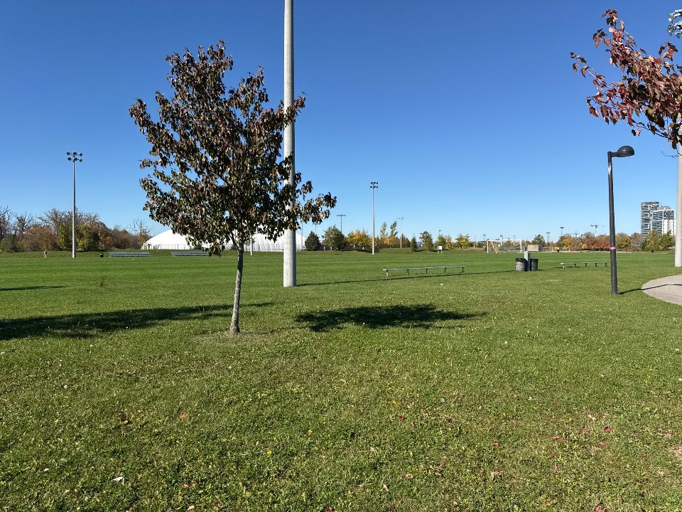 Multipurpose Field 5 at Milton Community Park