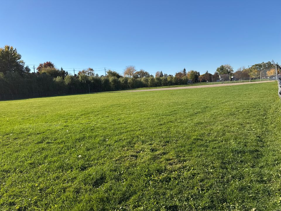 Diamond 2 at Brian Best Park