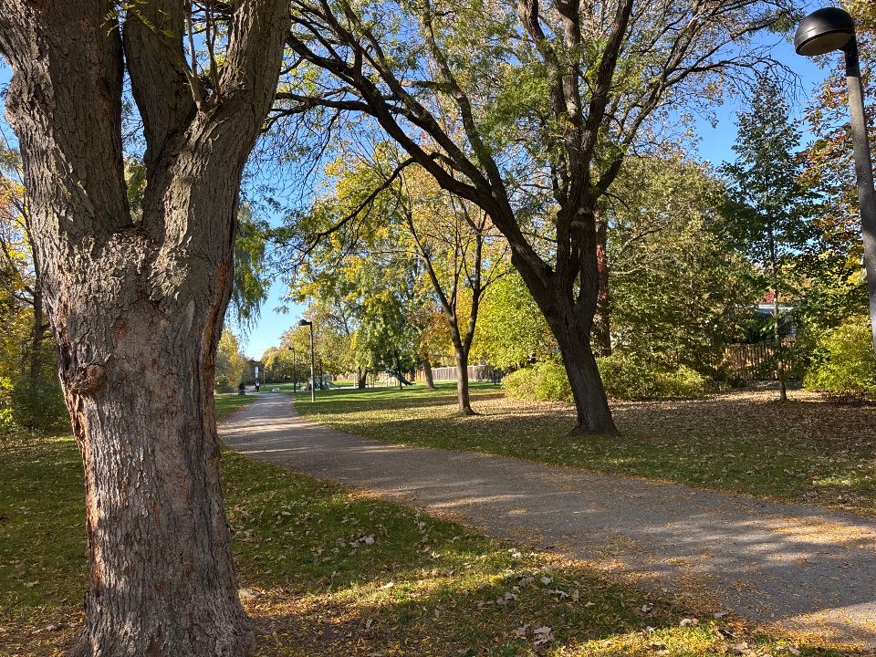 David Thompson Park