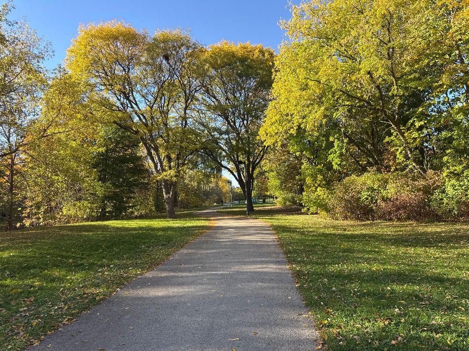 David Thompson Park