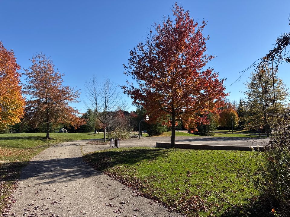 Brookville Park