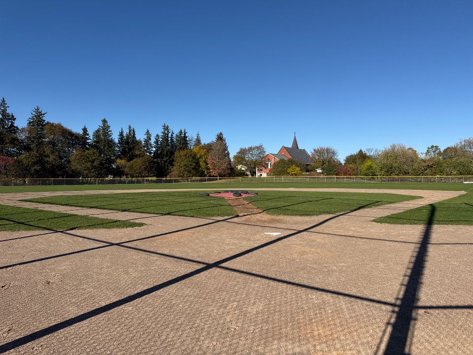 Campbellville New Park