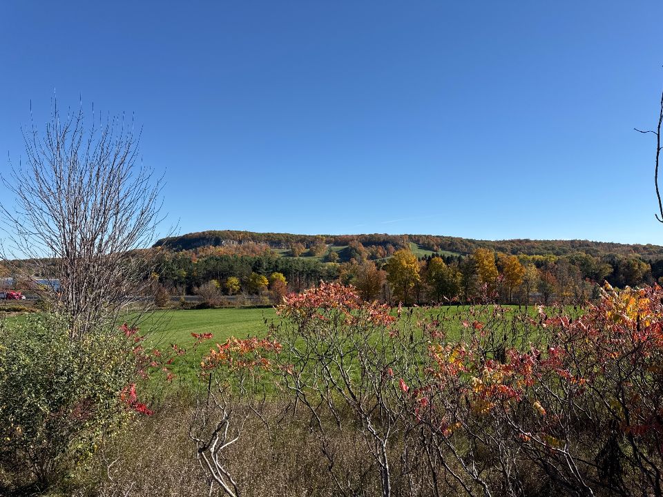 Kelso Conservation Area