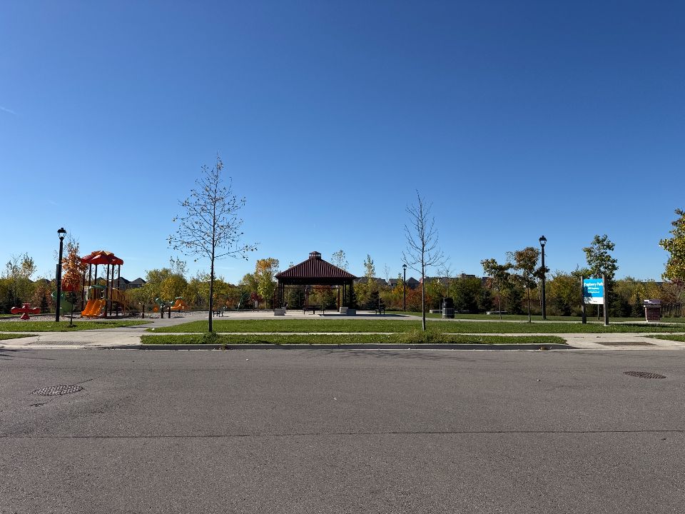 Raspberry Park