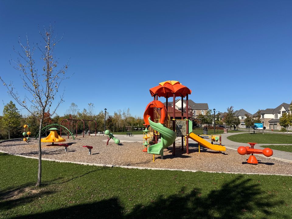 Raspberry Park