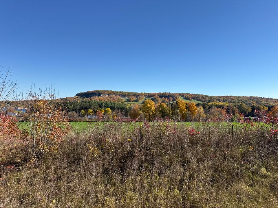 Kelso Conservation Area
