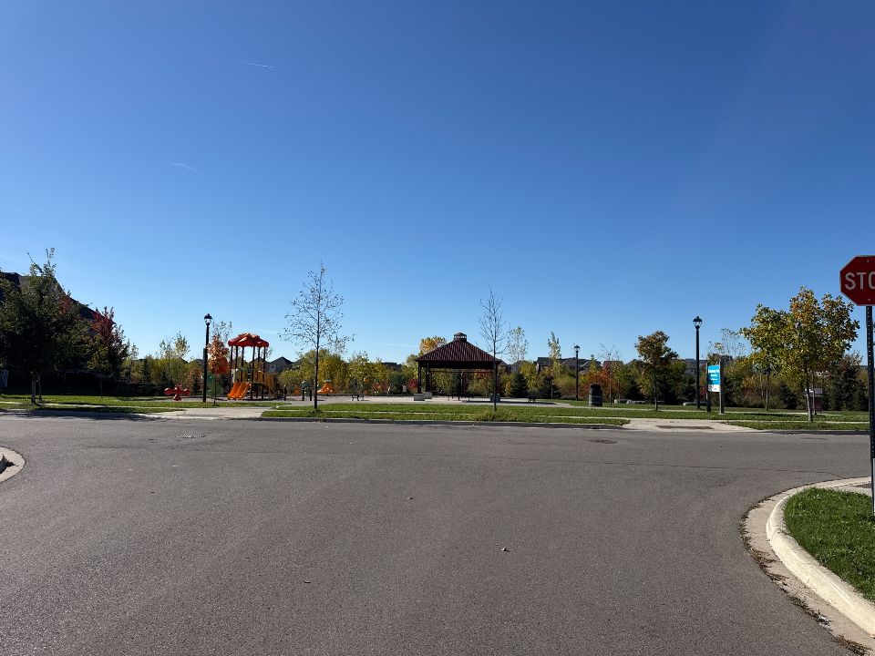 Raspberry Park