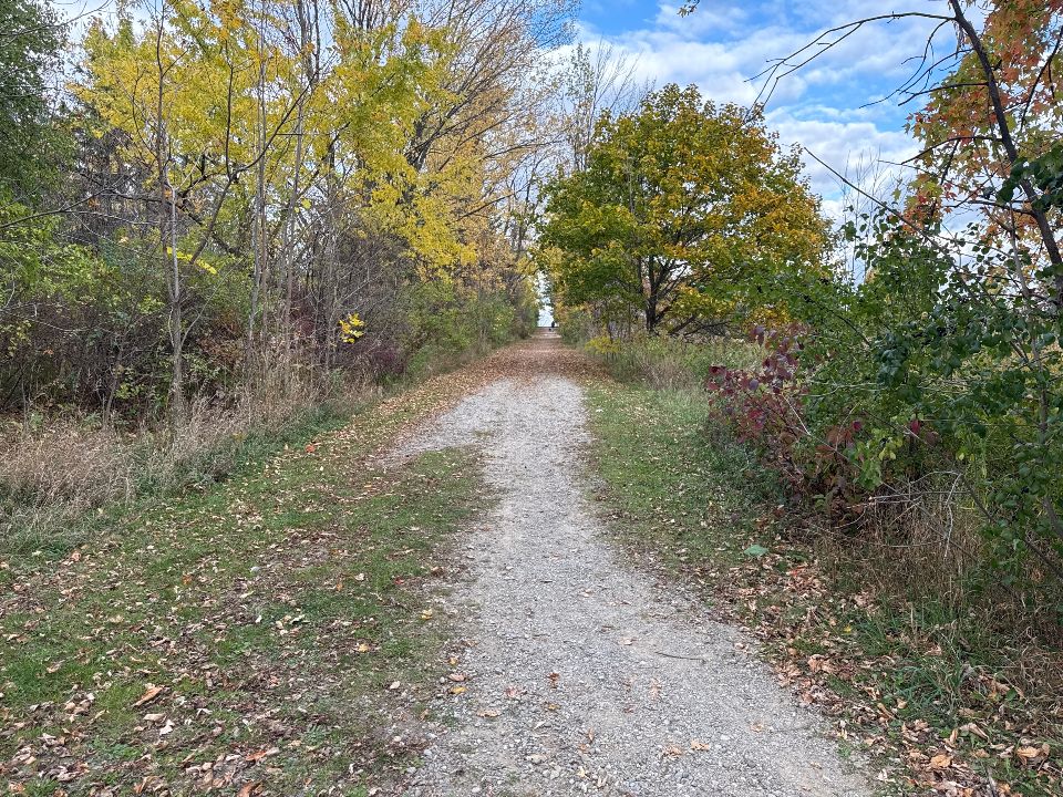 Willmott Linear Park